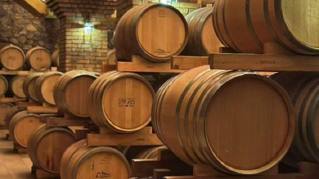 【品寧夏葡萄酒】寧夏源石酒莊+西夏陵+賀蘭山岩畫一日遊