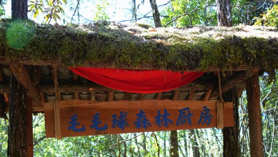Hutan Asli Bulu Bola Cabang Barat Bahagian Selatan Gunung Gaoligong 5KM Trekking Ringkas + Dapur Hutan Bulu Bola