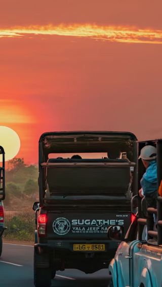 ทัวร์ 1 วัน ซาฟารีด้วยรถโฟร์วีลที่อุทยานแห่งชาติยาลา ศรีลังกา พร้อมบริการรับส่งที่ยาลา