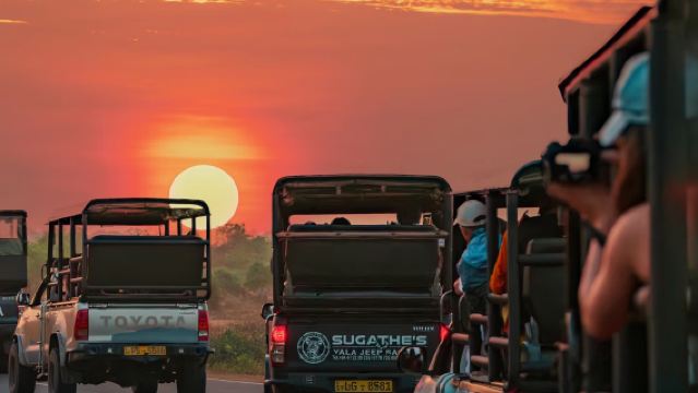 ทัวร์ 1 วัน ซาฟารีด้วยรถโฟร์วีลที่อุทยานแห่งชาติยาลา ศรีลังกา พร้อมบริการรับส่งที่ยาลา