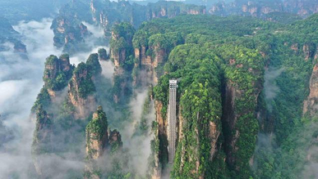 Zhangjiajie National Forest Park Day Tour: Private Service + Flexible Departure Time (Three Thousand Peculiar Peaks, Explore the Avatar World)