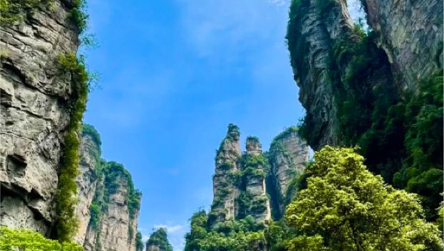 Zhangjiajie 1-day Tour: Forest Park + Yuanjiajie + Ten-mile Gallery | Private Charter | Customizable Itinerary |