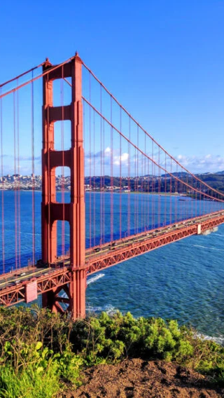 1-day tour to the Golden Gate Bridge, Palace of Fine Arts, Lombard Street, Fisherman's Wharf and Twin Peaks