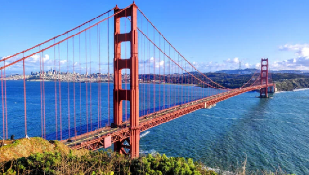 1-day tour to the Golden Gate Bridge, Palace of Fine Arts, Lombard Street, Fisherman's Wharf and Twin Peaks
