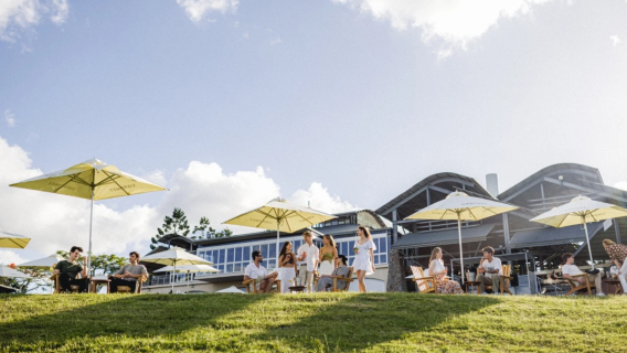 Experiencia de degustación en la bodega Sirromet [Cata de múltiples vinos + opción de mezclar tu propio vino/selección de gastronomía + visita guiada en chino disponible]