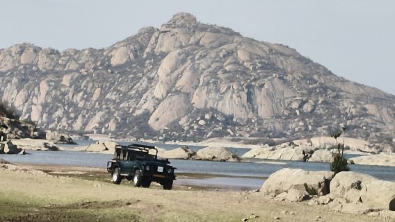 Besuche die Jawai-Leoparden-Safari und den Ranakpur-Tempel mit Transfer von Jodhpur nach Udaipur.