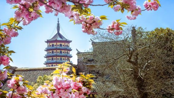【純玩小團】三河古鎮+巢湖十里長堤+市區景點10選2一日遊
