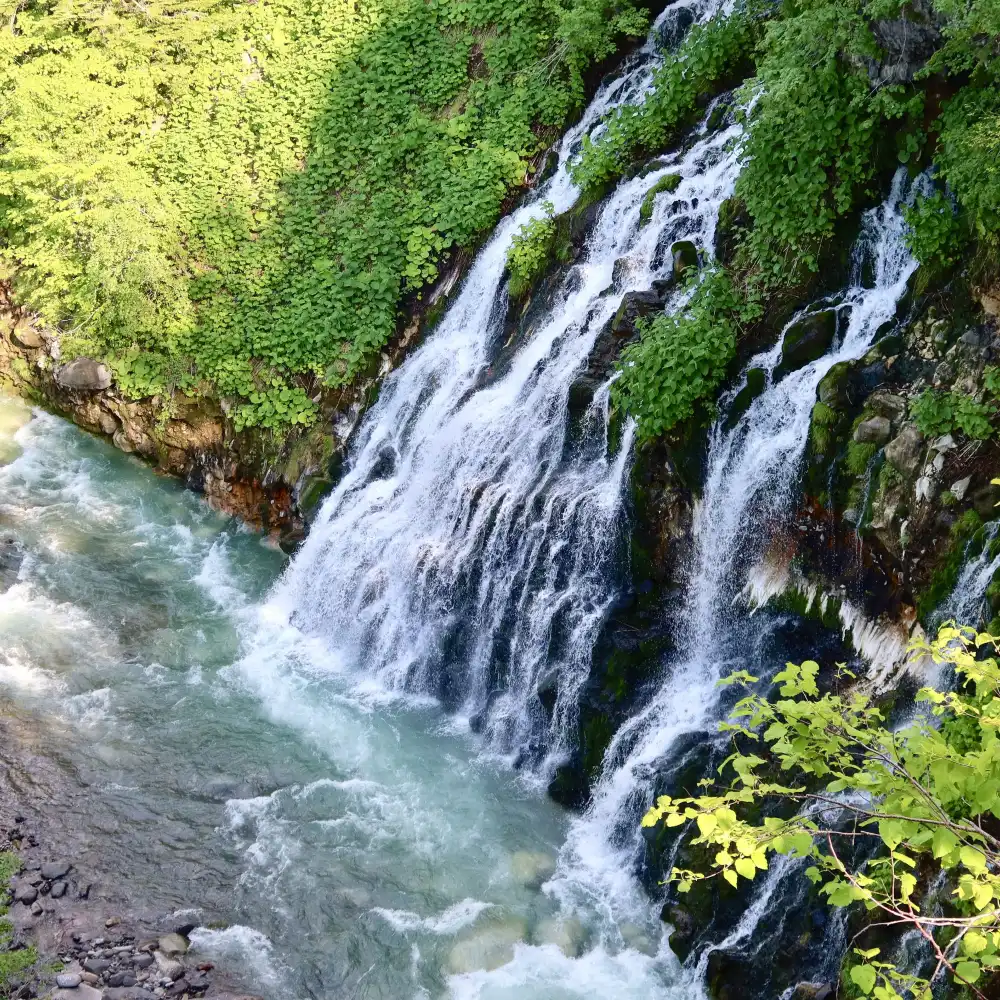 Wake up naturally | Premium small group tour with exquisite