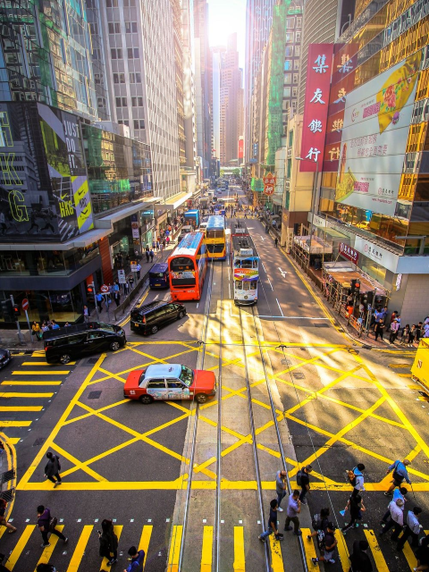 香港暑期包車一日遊|尖沙咀中環維港專屬專車,上門接送出行自由