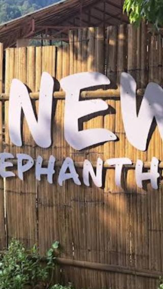 Available on the same day! Half-day tour to new home elephant sanctuary in Chiang Mai with Thai lunch and elephant interaction