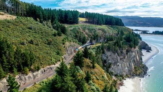 Dunedin: Scenic Railway Tour of Otago's Coastline