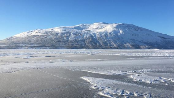 Abisko: Lake Torneträsk Arctic Ice Fishing Trip