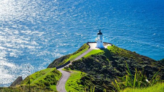 Cape Reinga: Day Trip from Paihia, Kerikeri, or Kaitaia