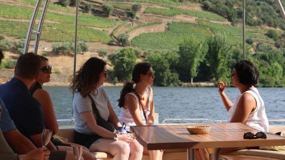 Porto: Vale do D., 1 ou 2 Vinícolas, Almoço na Vinícola e Passeio de Barco de 1h