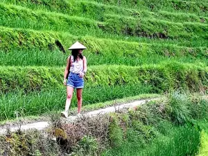 2-Days Hiking Private Tour at Longji Rice Terraces from Guilin or Yangshuo