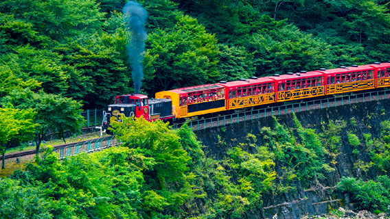 京都・嵐山嵯峨野トロッコ列車観光乗車チケット