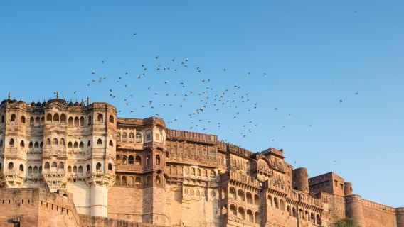 10 วัน ทัวร์โชติปุระ ไจซัลเมอร์ บิคาเนอร์ ชัยปุระ และอากรา