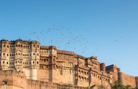 10日焦特布爾、賈沙梅爾、比卡內爾、齋浦爾及阿格拉之旅