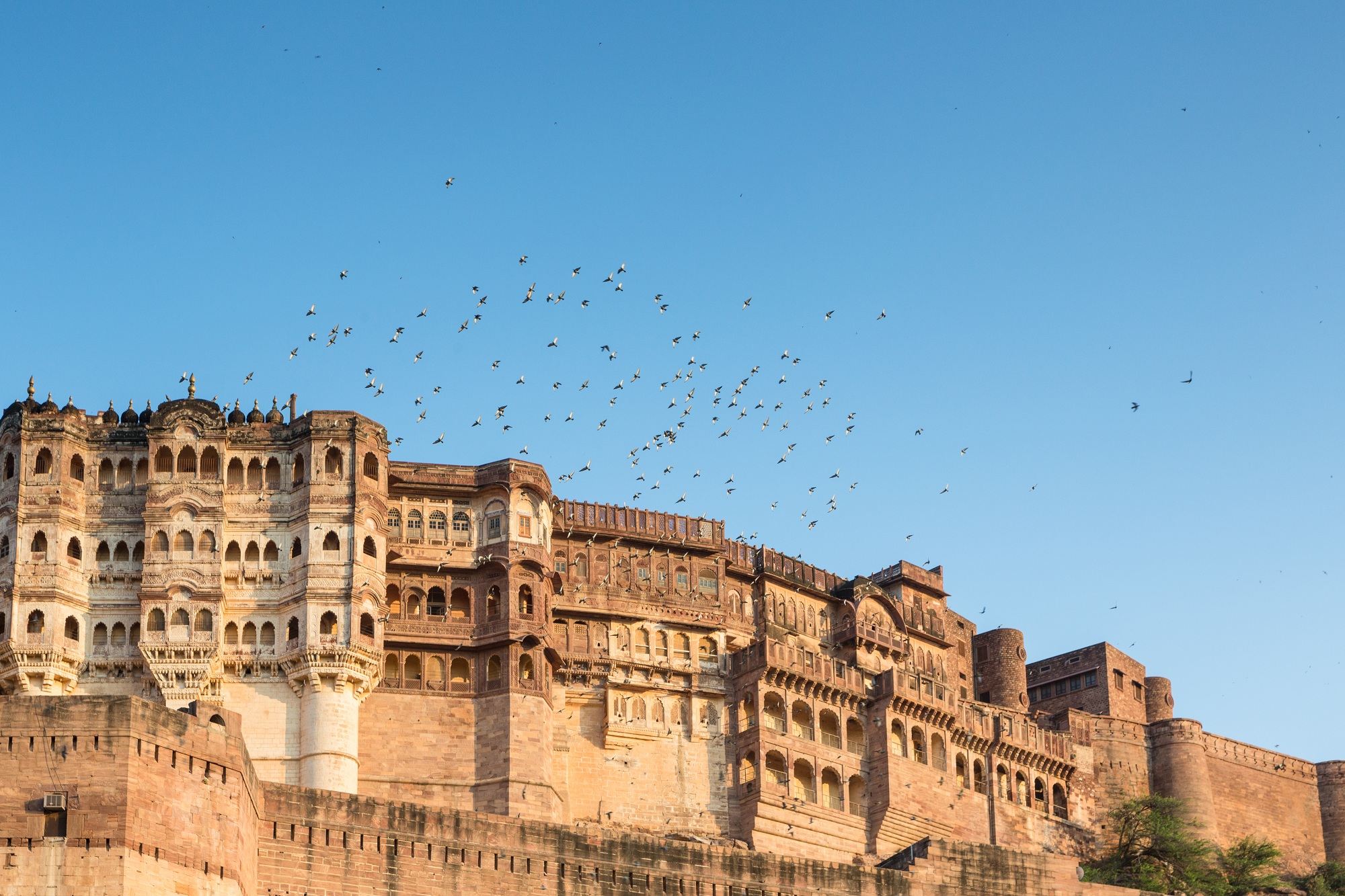 10 días de tour por Jodhpur, Jaisalmer, Bikaner, Jaipur y Agra