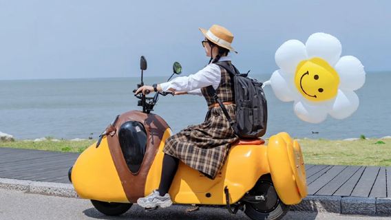 洱海生態廊道騎行+喜洲+雙廊+理想邦一日遊純玩：大理古城可接