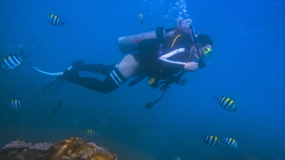 大連鯨奇潛水俱樂部體驗潛水水肺潛水0.5小時【包含潛水裝備+更有潛水海底捕撈/海底暢玩】