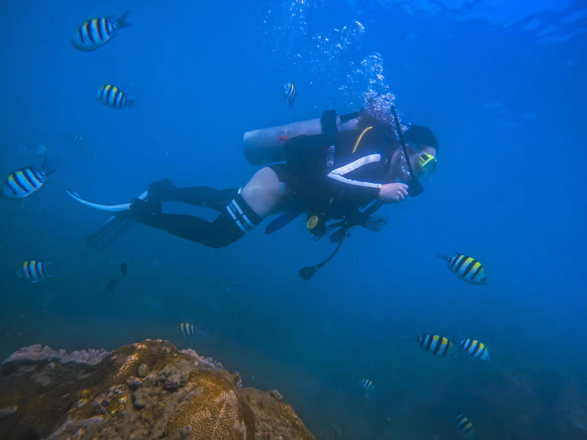 大連鯨奇潛水俱樂部體驗潛水水肺潛水0.5小時【包含潛水裝備+更有潛水海底捕撈/海底暢玩】