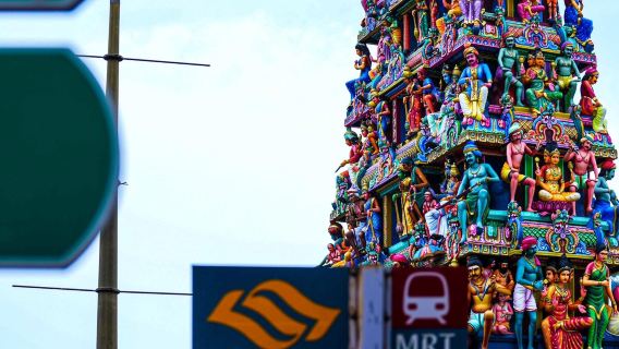 Sentosa Island+ Chinatown + Tanjong Beach + Palawan Beach one-day tour with Chinese and English Service