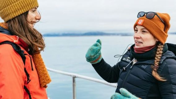 Reikiavik: Crucero de lujo para avistamiento de ballenas en yate