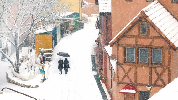 Giới hạn mùa đông | Xuất phát từ Seoul: Đảo Nami + Thung lũng Nareubawi + Làng Pháp nhỏ