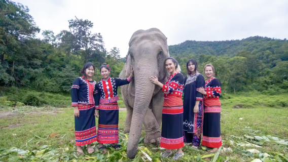 Mae TaengTours
