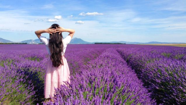 尼斯出發 法國普羅旺斯瓦朗索勒薰衣草一日遊陶瓷小鎮8人小團