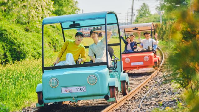 ソウル近郊|貸切チャータープライベートツアー|南怡島+江村レールバイク ワンデーツアー