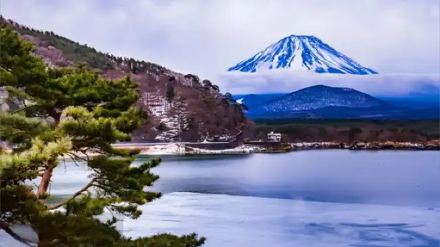 東京富士山+精進湖+山中湖+河口湖一日遊,天梯小鎮,忍野八海