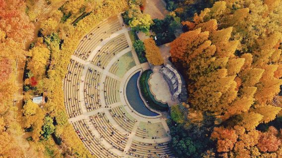 Nanjing: Presidential Palace + Jiming Temple + Ming City Wall + Xuanwu Lake + Hongshan Zoo guide G