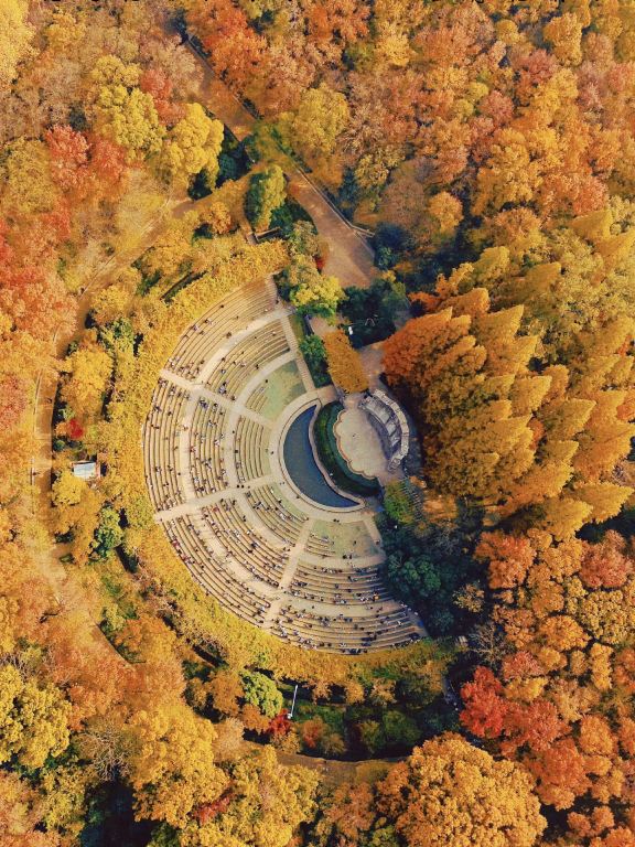 Нанкин: Президентский дворец + Храм Цзимин + Минская городская стена + Озеро Сюаньу + Зоопарк Хуншань гид G