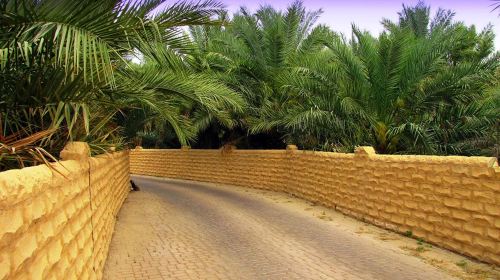 From Abu Dhabi Private Tour: Al Ain Essentials day from Abu Dhabi Day Tours 8