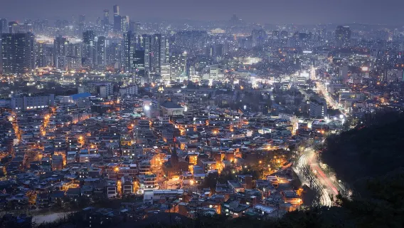 서울 하이라이트 프라이빗 투어: 왕궁부터 트렌디한 거리까지 하루 만에 둘러보는 투어