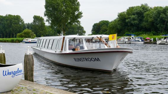 Lisse: Windmill Cruise + Visit to 'Tulip Experience'