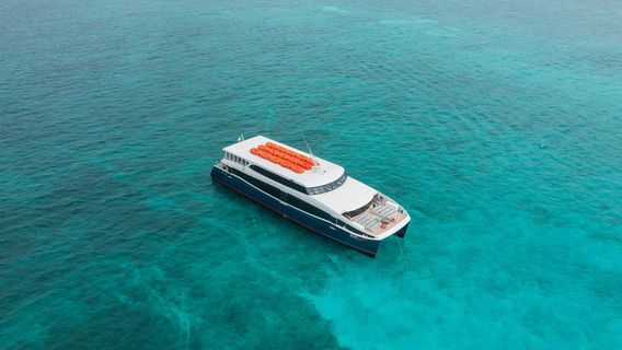 CancunTours