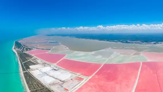 Río Lagartos & Las Coloradas: Guided Tour, Lunch with Drinks + Transfer