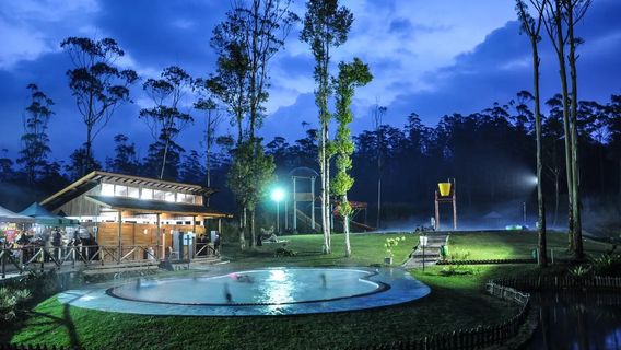 CisaruaExperiences