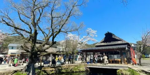 日本東京-箱根-海賊王船-蘆之湖-雕刻之森-熱門景點私享行