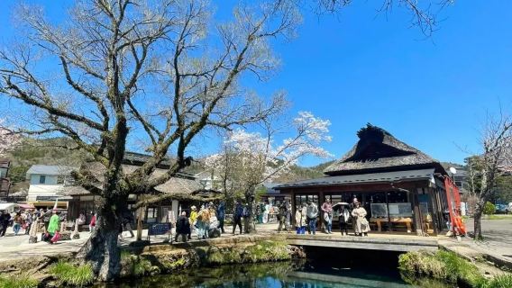 箱根日遊