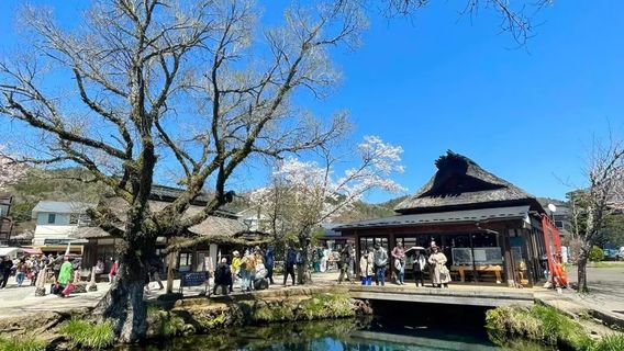 箱根日遊