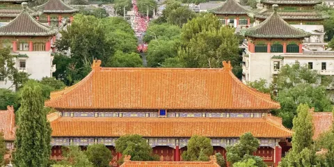 北京英文日語韓語粵泰語越南印尼意大利語多語種導遊,線路可定制