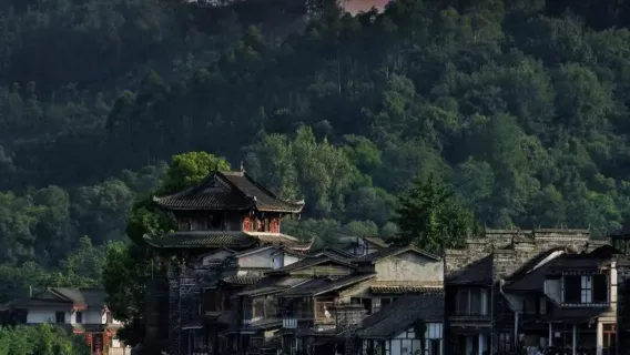 Excursión de un día premium en Chengdu, China: Dujiangyan + Valle de los Pandas + Zhongshuge + Opción de guía multilingüe