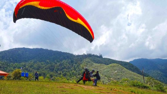 Lohan Adventure with Desa Dairy Farm & Wild Pork | Kota Kinabalu, Sabah