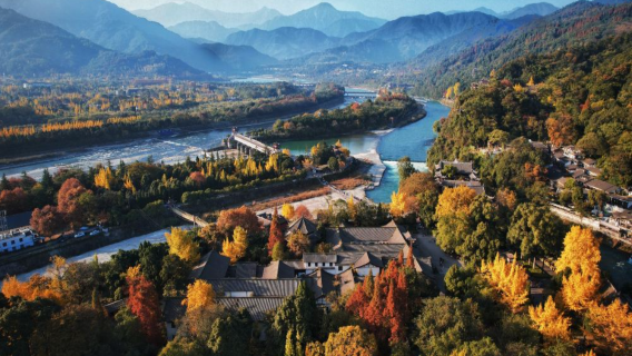 Dujiangyan Transfer + Panda Valley or with  Driver guide day tour