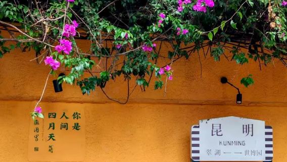 Bandar Lama Kunming + Tasik Hijau (Cuihu) + Lawatan Peribadi Pasar