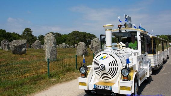 Carnac Tour: Megalithic Marvels and La Trinite Sur Mer